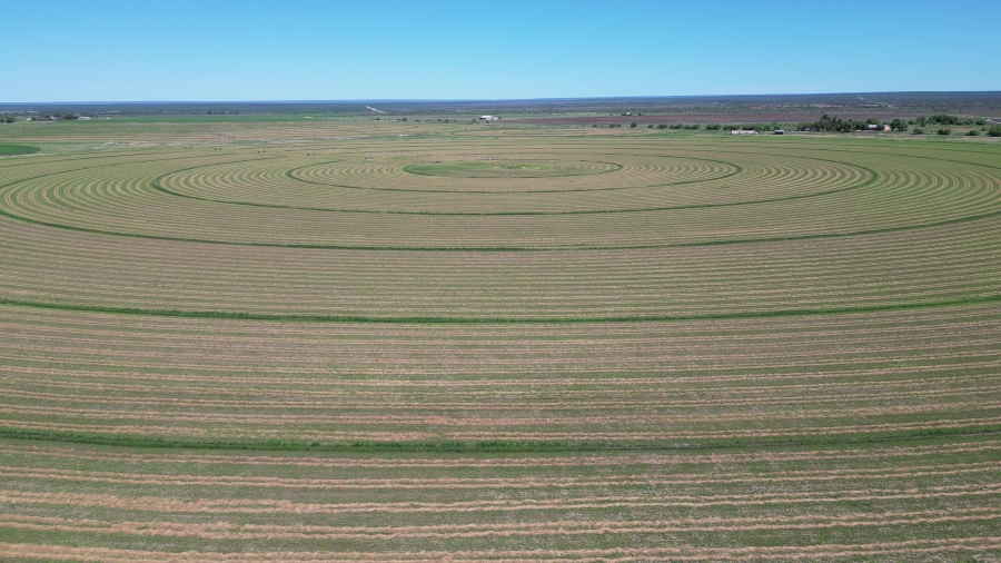 0 Bedroom Property for Sale in Douglas Rural Northern Cape